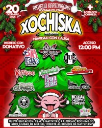 Xochiska presenta: Navidad con Causa